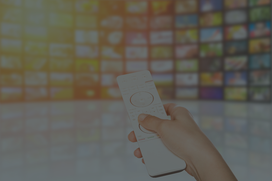 Sonority Group Case Study: Programmatic and Connected TV Advertising